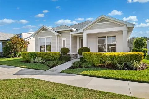 3579 Sweet Mabolo St, Wesley Chapel, FL 33543