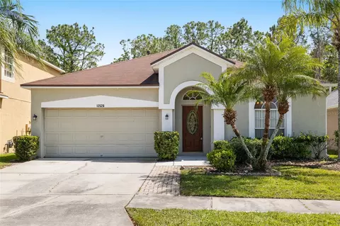 12526 Blazing Star Dr, Tampa, FL 33626