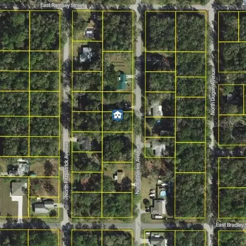 452 N Charles Ave, Inverness, FL 34453
