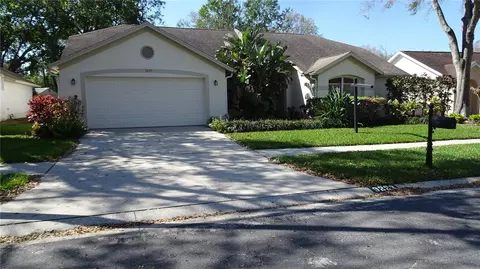 9223 Rockrose Dr, Tampa, FL 33647