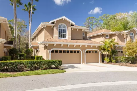 4216 Preserve Pl, Palm Harbor, FL 34685