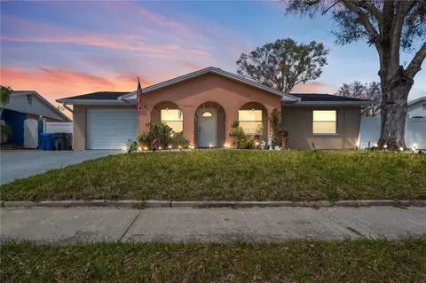 10724 Tabor Dr, Tampa, FL 33625