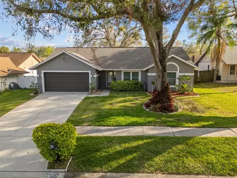 1613 Dusty Rose Ln, Brandon, FL 33510