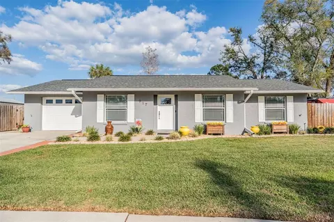 917 Silver Ridge Way, Valrico, FL 33594