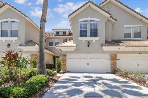 14542 Mirabelle Vista Cir, Tampa, FL 33626
