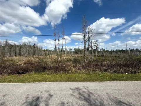 33544 Green Willow Run #LOT 745, Wesley Chapel, FL 33544