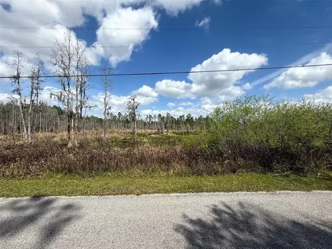 33544 Green Willow Run #LOT 746, Wesley Chapel, FL 33544