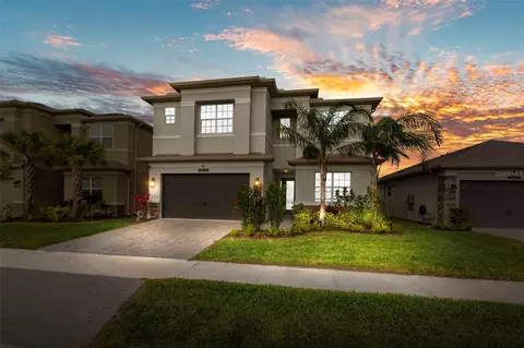 3107 Mountain Spruce Ter, Wesley Chapel, FL 33543
