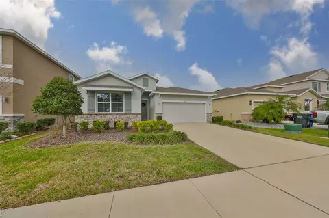 16611 Goose Ribbon Pl, Wimauma, FL 33598