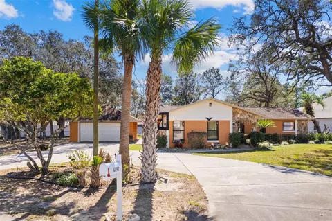 12242 Chastain St, Spring Hill, FL 34609