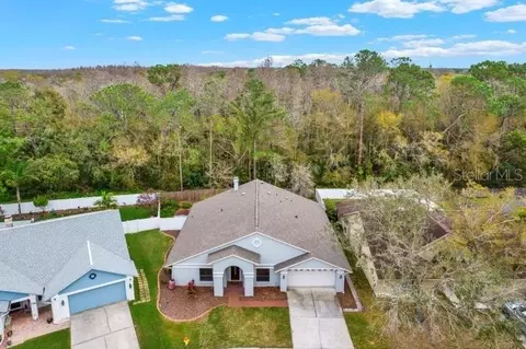 9527 Pebble Glen Ave, Tampa, FL 33647