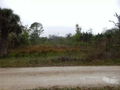 0 Robin Trl, Kissimmee, FL 34747