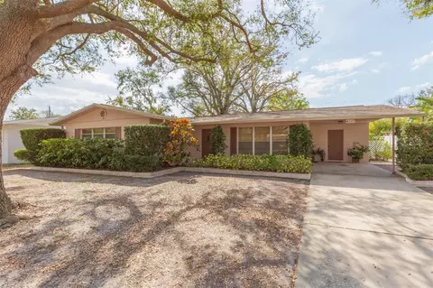 4517 S Renellie Dr, Tampa, FL 33611