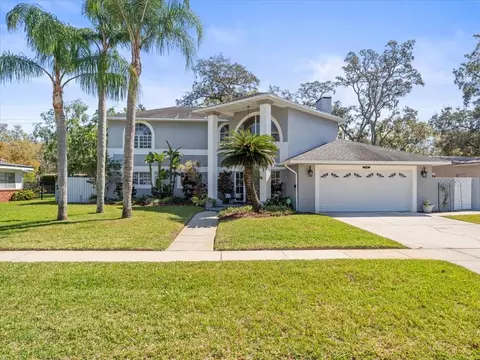 3114 Samara Dr, Tampa, FL 33618