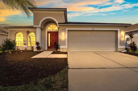 4145 Medbury Dr, Wesley Chapel, FL 33543