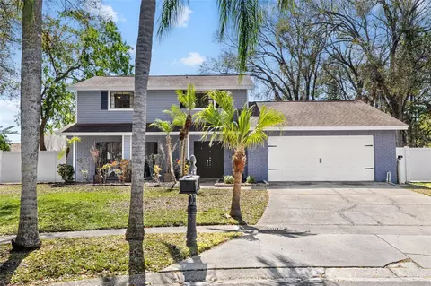 15802 Knollview Dr, Tampa, FL 33624