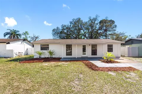 6514 Runningwoods Dr, Tampa, FL 33634