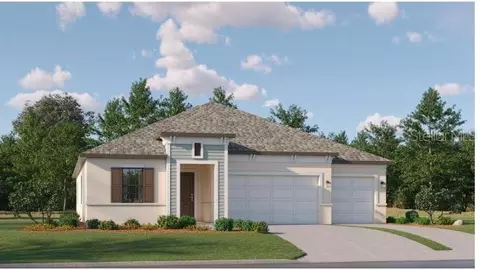 9640 Runaway Breeze Dr, Land O Lakes, FL 34637