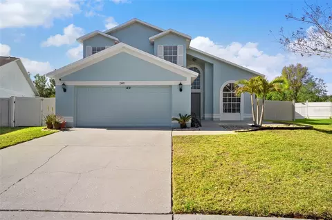 13411 Beechberry Dr, Riverview, FL 33579 photo 1