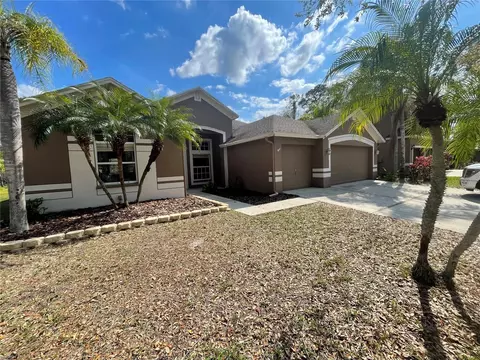 16905 Falconridge Rd, Lithia, FL 33547