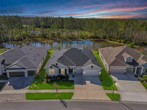 4032 Tour Trce, Land O Lakes, FL 34638