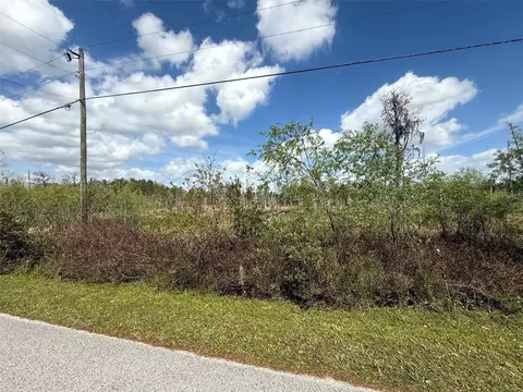 33544 Green Willow Run #LOT 747, Wesley Chapel, FL 33544
