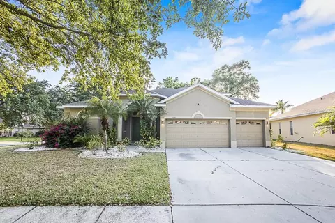 1602 Brilliant Cut Way, Valrico, FL 33594