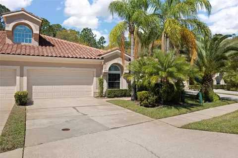 3798 Darston St, Palm Harbor, FL 34685