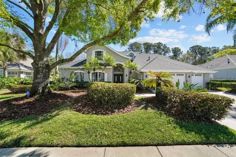 12117 Clear Harbor Dr, Tampa, FL 33626