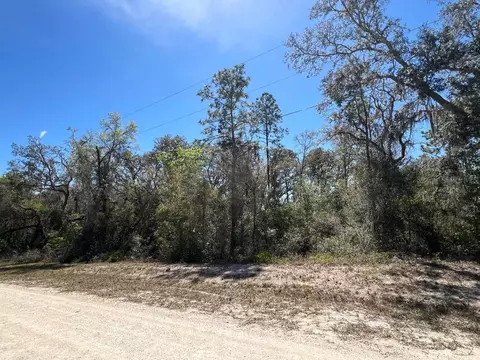 0 Northwest Ave #LOT 32, Webster, FL 33597