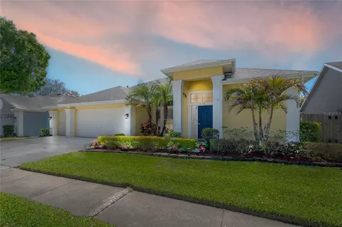 12406 Bristol Commons Cir, Tampa, FL 33626
