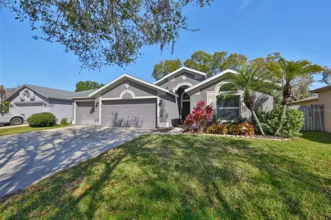 2516 Allwood Ave, Valrico, FL 33596