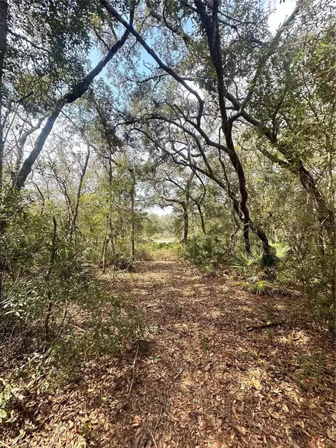 9076 Realstone Dr, Webster, FL 33597