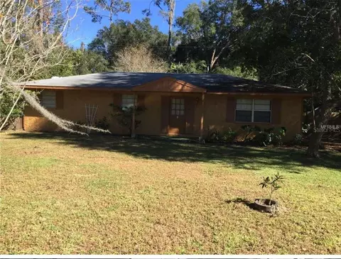11942 Elm St, San Antonio, FL 33576