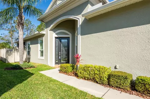 2923 Devonoak Blvd, Land O Lakes, FL 34638