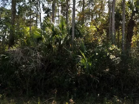Eldron Avenue, North Port, FL 34286
