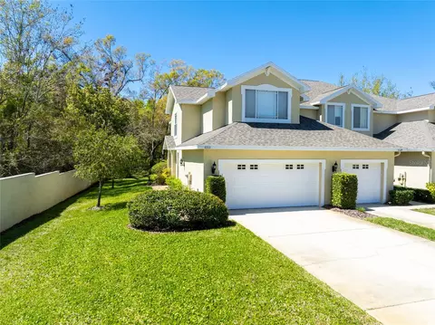 6531 Spring Oak Ct, Tampa, FL 33625