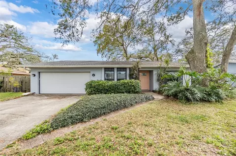 1905 Dove Field Pl, Brandon, FL 33510