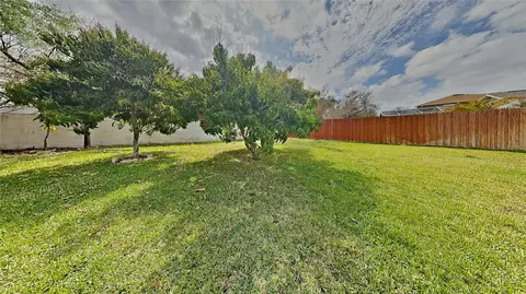 11319 Clayridge Dr, Tampa, FL 33635