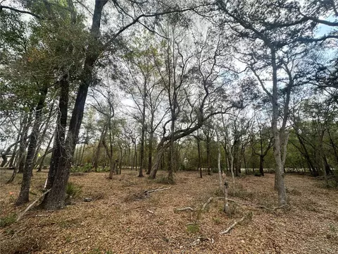9035 Realstone Dr, Webster, FL 33597