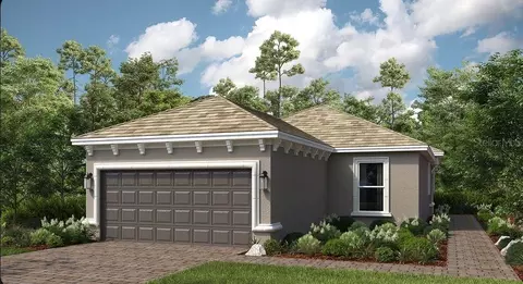 29513 Velletri Ln, Wesley Chapel, FL 33543