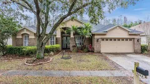19223 Wind Dancer St, Lutz, FL 33558