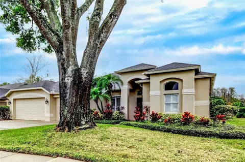 17320 Hubers Ct, Odessa, FL 33556