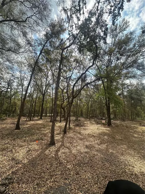 9048 Top Rock Dr, Webster, FL 33597