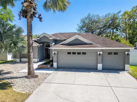 12523 River Birch Dr, Riverview, FL 33569