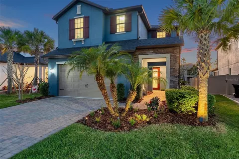 4611 San Martino Dr, Wesley Chapel, FL 33543