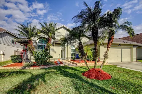 10026 Oasis Palm Dr, Tampa, FL 33615