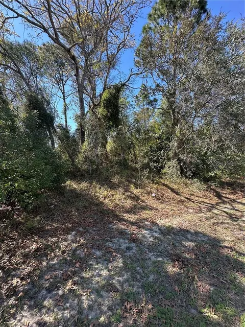 3069 Amherst Ave, Spring Hill, FL 34609