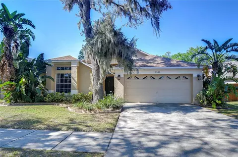 2542 Clareside Dr, Valrico, FL 33596