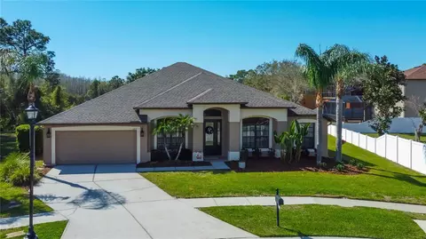 14813 Princewood Ln, Land O Lakes, FL 34638